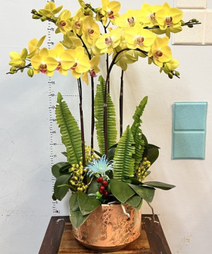 固定換花
