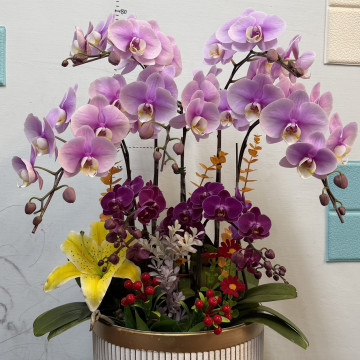 桌上款式(3500元)