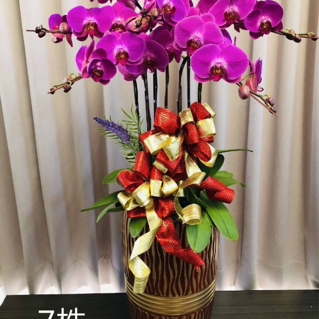 落地款式(素面/花紋/7株)